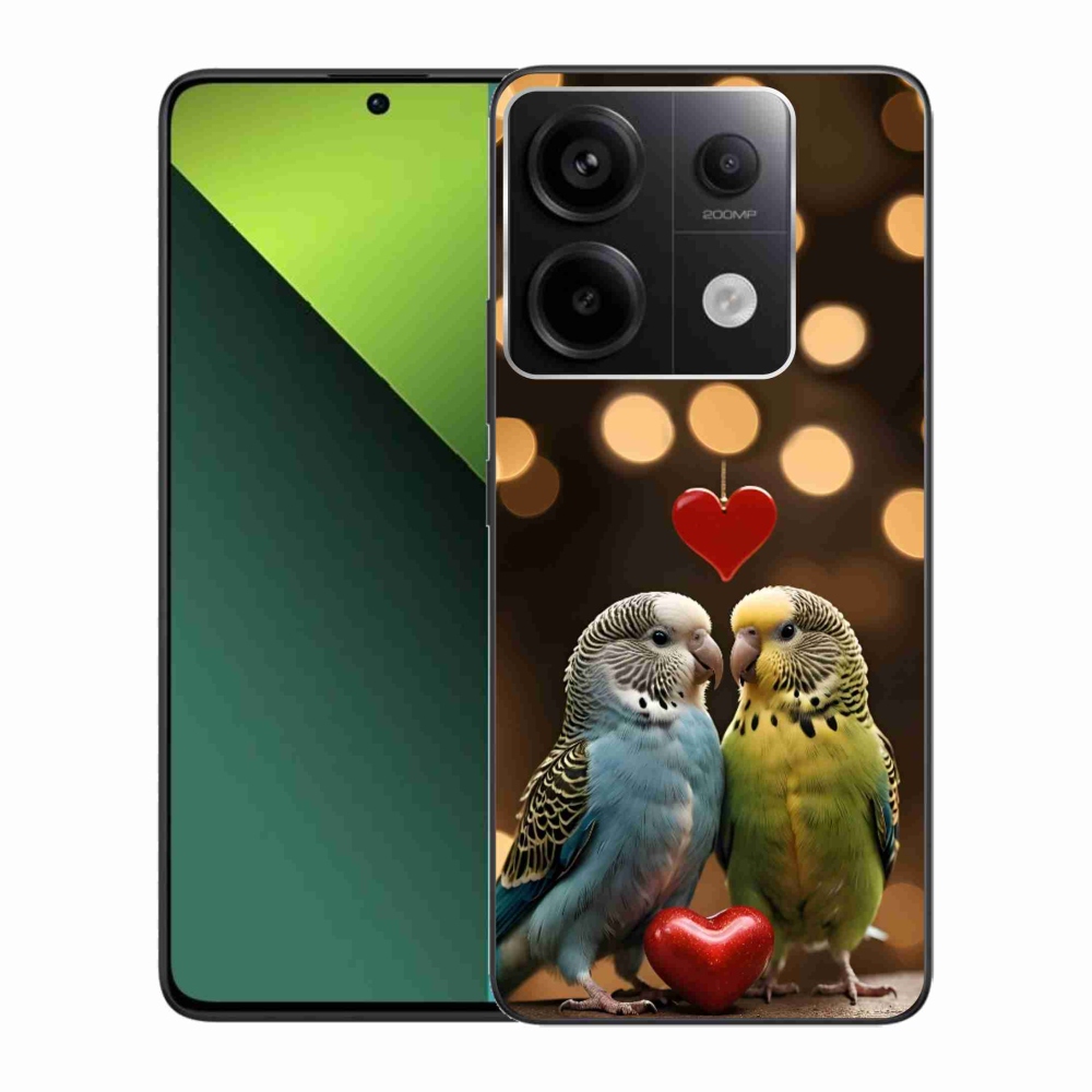 Gélový kryt mmCase na Xiaomi Redmi Note 13 Pre 5G/Poco X6 5G - zamilovaní papagáje