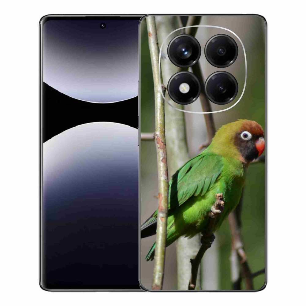 Gélový kryt mmCase na Xiaomi Redmi Note 14 Pro - papagáj agapornis