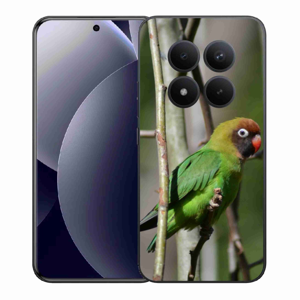 Gélový kryt mmCase na Xiaomi Redmi Note 15 Pro+ 5G/Xiaomi Poco M8 Pro 5G - papagáj agapornis