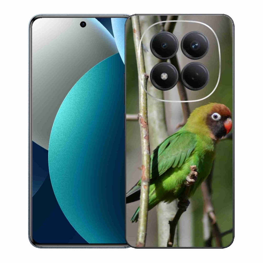 Gélový kryt mmCase na Xiaomi Redmi Note 15 Pro - papagáj agapornis