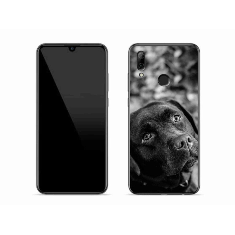 Gélový obal mmCase na mobil Honor 10 Lite - labrador