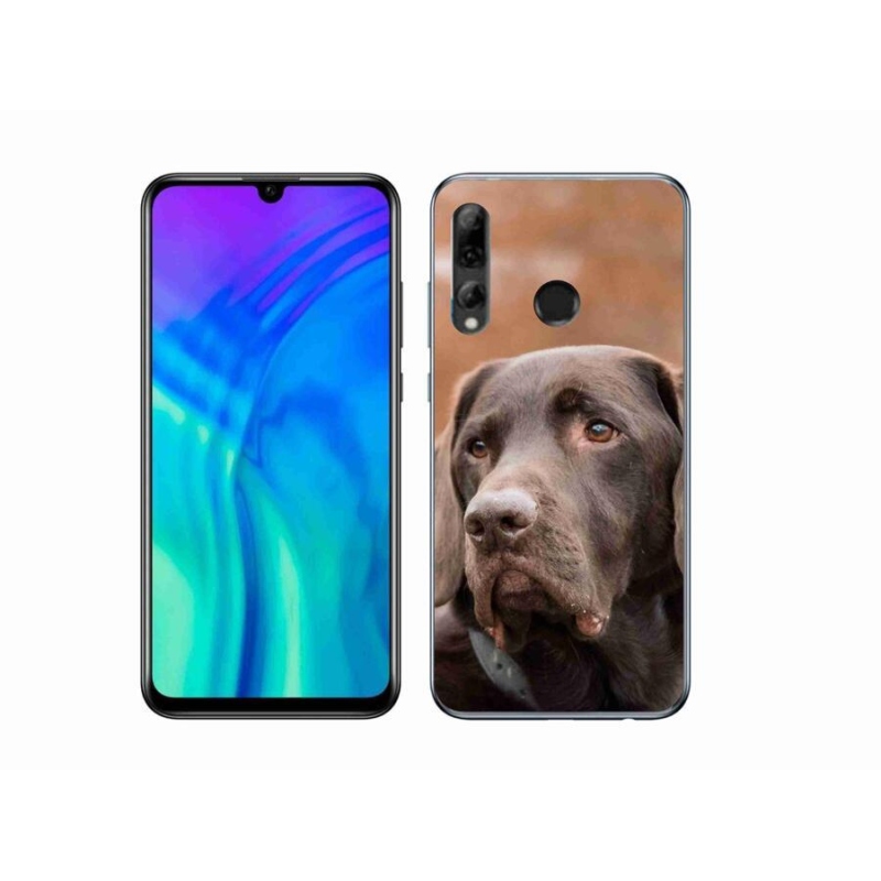 Gélový obal mmCase na mobil Honor 20 Lite - hnedý labrador