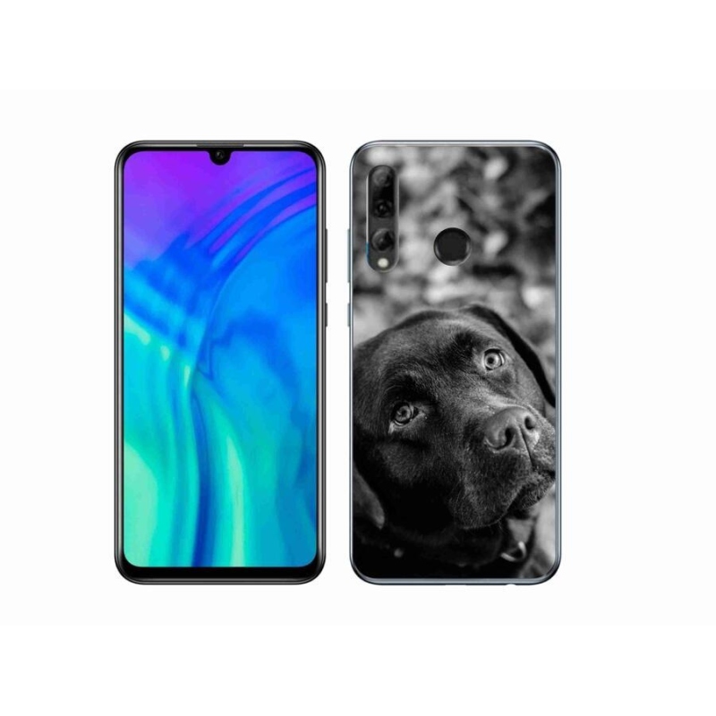 Gélový obal mmCase na mobil Honor 20 Lite - labrador