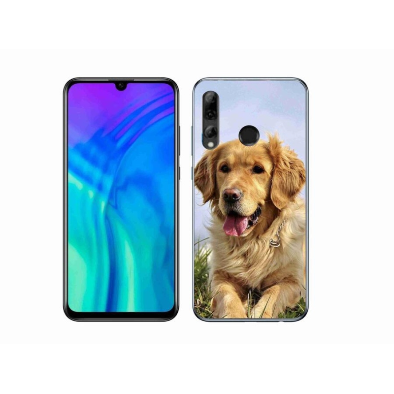 Gélový obal mmCase na mobil Honor 20 Lite - zlatý retriever