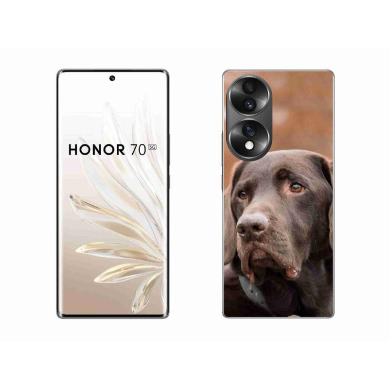 Gélový obal mmCase na mobil Honor 70 - hnedý labrador