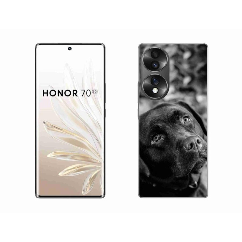 Gélový obal mmCase na mobil Honor 70 - labrador