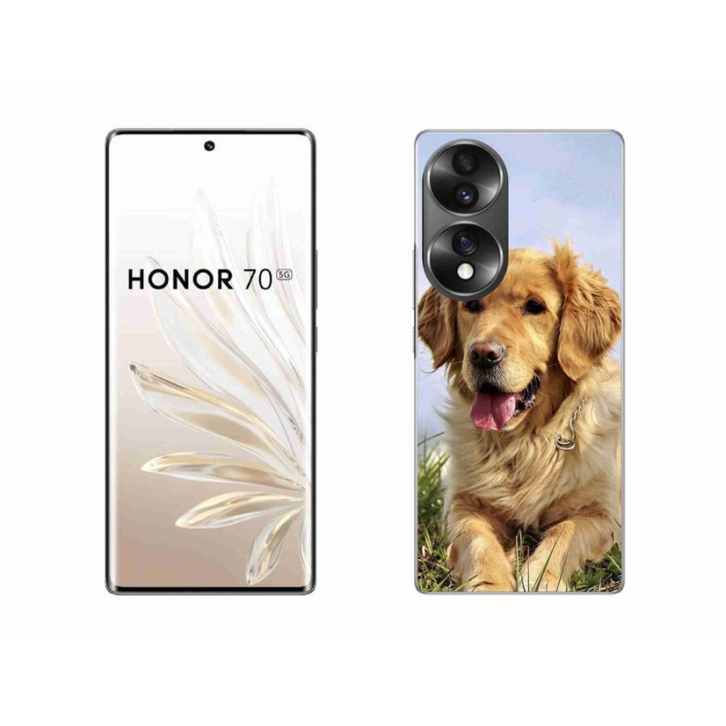 Gélový obal mmCase na mobil Honor 70 - zlatý retriever