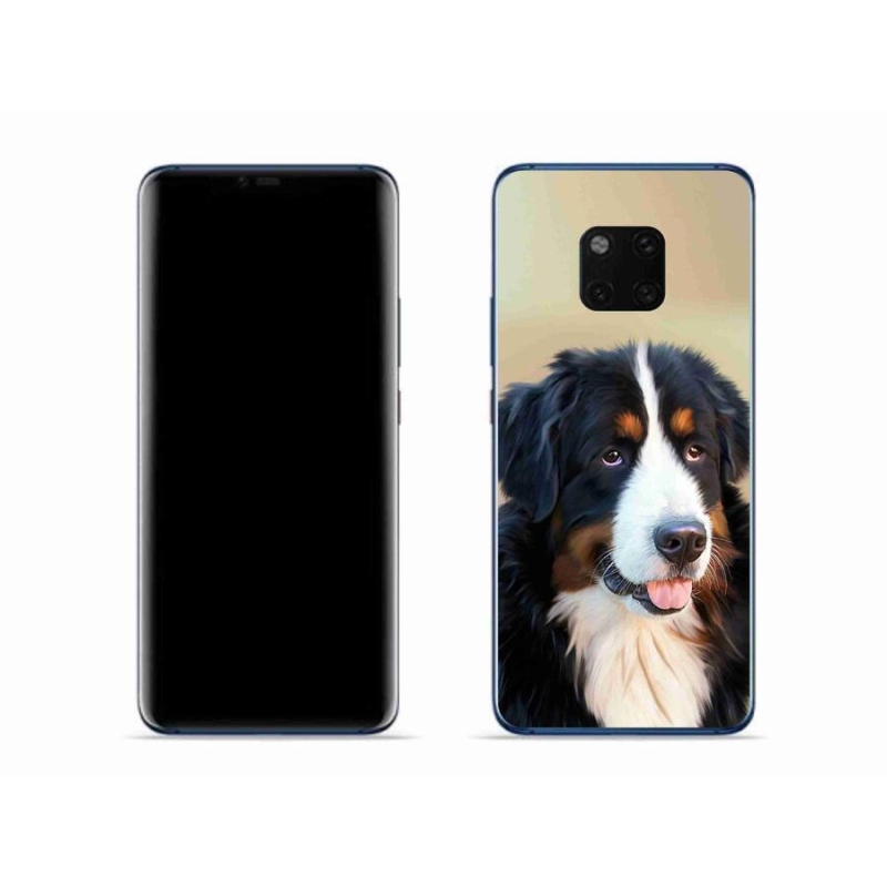 Gélový obal mmCase na mobil Huawei Mate 20 Pro - bernský salašnícky pes