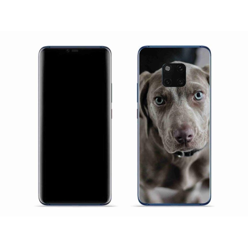 Gélový obal mmCase na mobil Huawei Mate 20 Pro - weimarský stavač