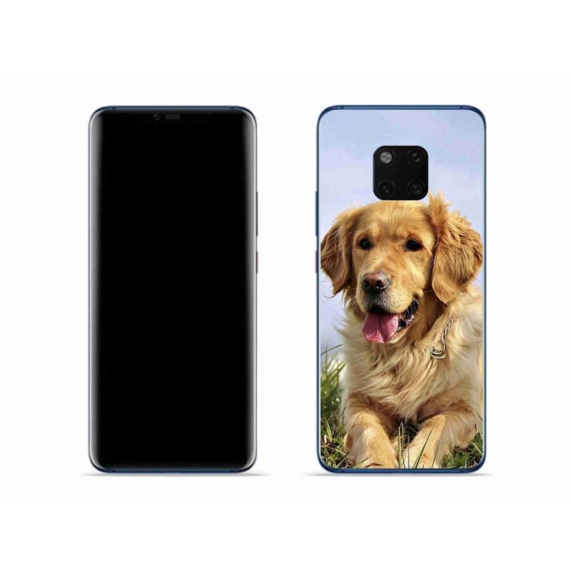 Gélový obal mmCase na mobil Huawei Mate 20 Pro - zlatý retriever