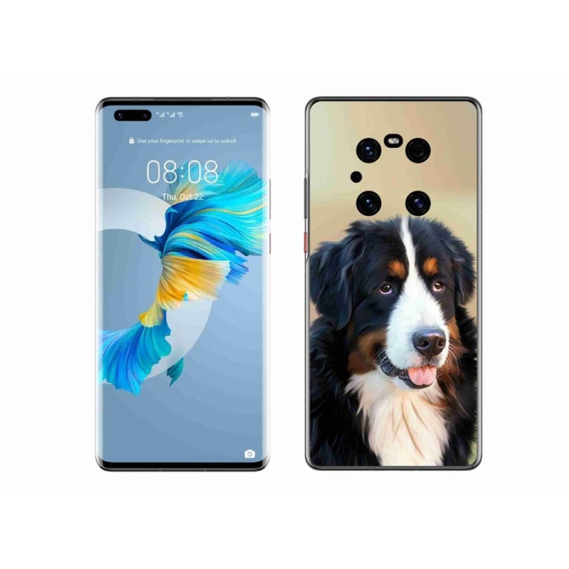 Gélový obal mmCase na mobil Huawei Mate 40 Pro - bernský salašnícky pes