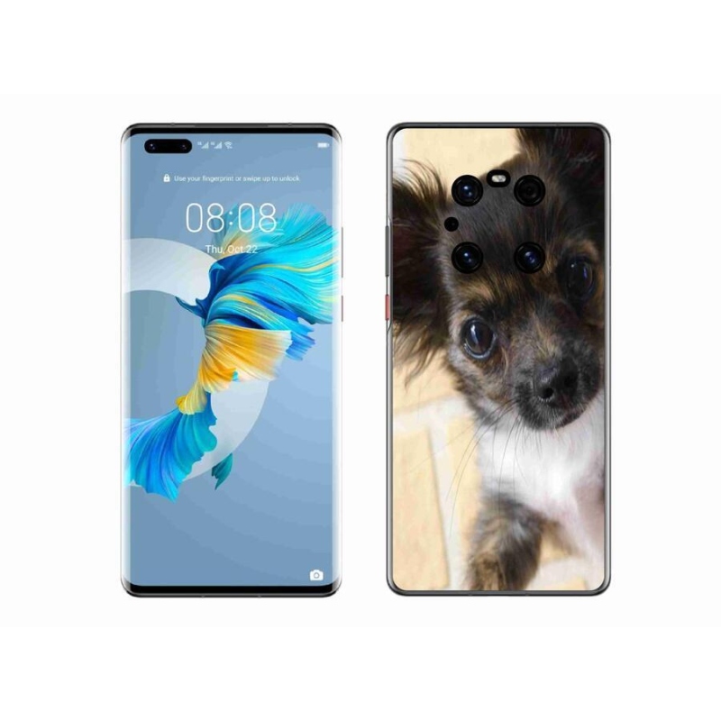 Gélový obal mmCase na mobil Huawei Mate 40 Pro - čivava 2