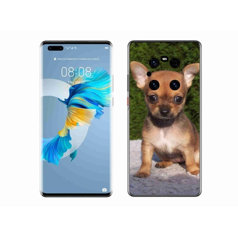 Gélový obal mmCase na mobil Huawei Mate 40 Pro - čivava 3