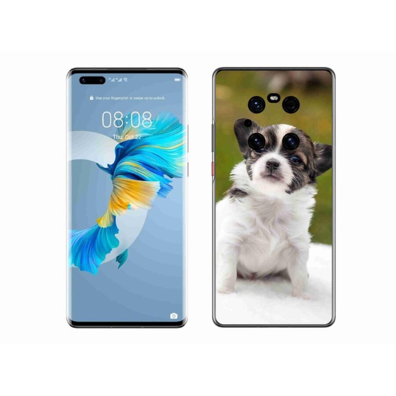 Gélový obal mmCase na mobil Huawei Mate 40 Pro - čivava 4