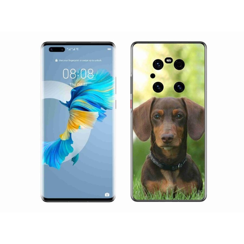 Gélový obal mmCase na mobil Huawei Mate 40 Pro - hnedý jazvečík