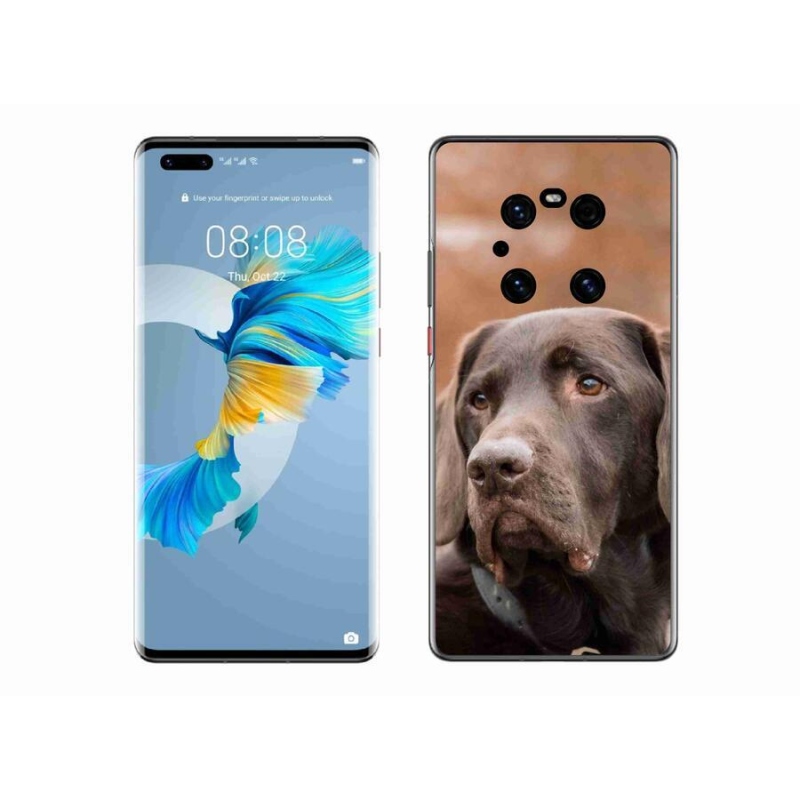 Gélový obal mmCase na mobil Huawei Mate 40 Pro - hnedý labrador