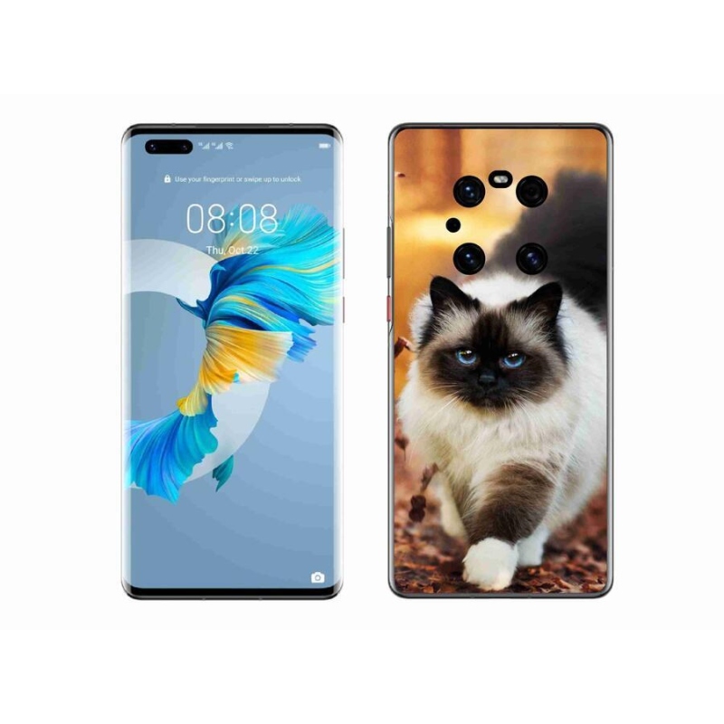 Gélový obal mmCase na mobil Huawei Mate 40 Pro - mačka 1