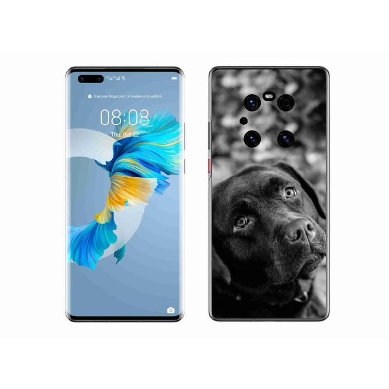 Gélový obal mmCase na mobil Huawei Mate 40 Pro - labrador