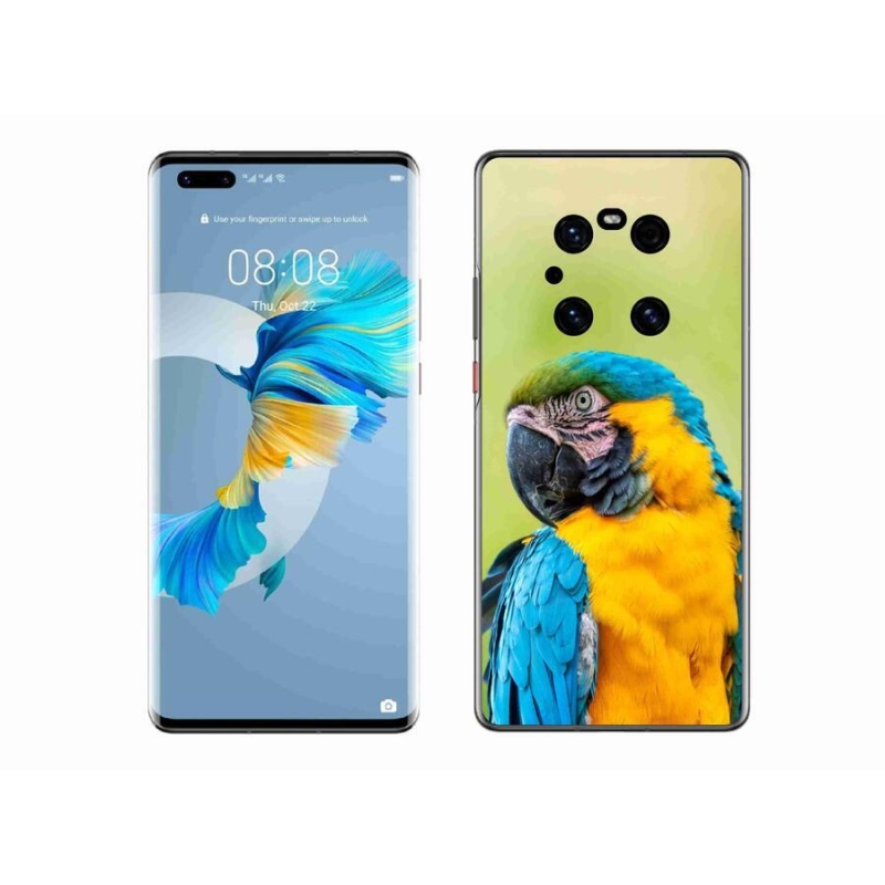 Gélový obal mmCase na mobil Huawei Mate 40 Pro - papagáj ara 2