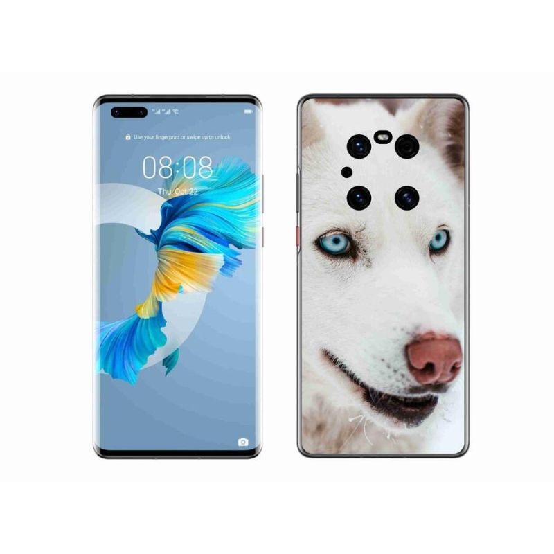 Gélový obal mmCase na mobil Huawei Mate 40 Pro - psie pohľad