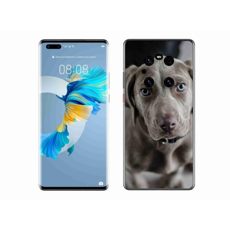 Gélový obal mmCase na mobil Huawei Mate 40 Pro - weimarský stavač