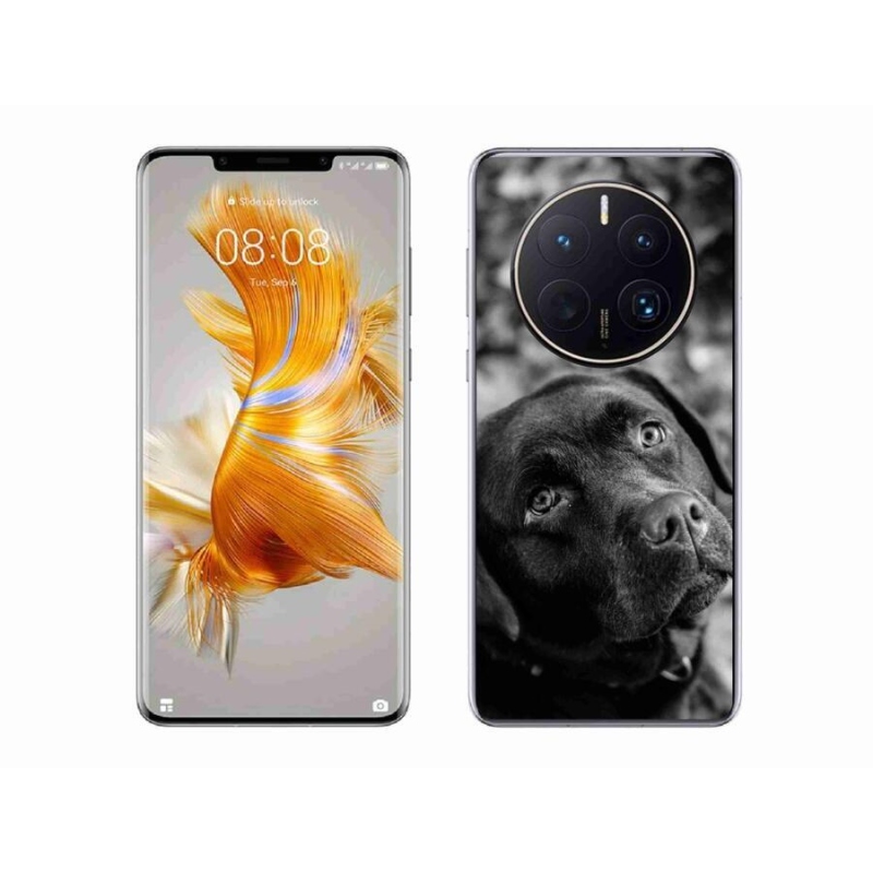 Gélový obal mmCase na mobil Huawei Mate 50 Pro - labrador