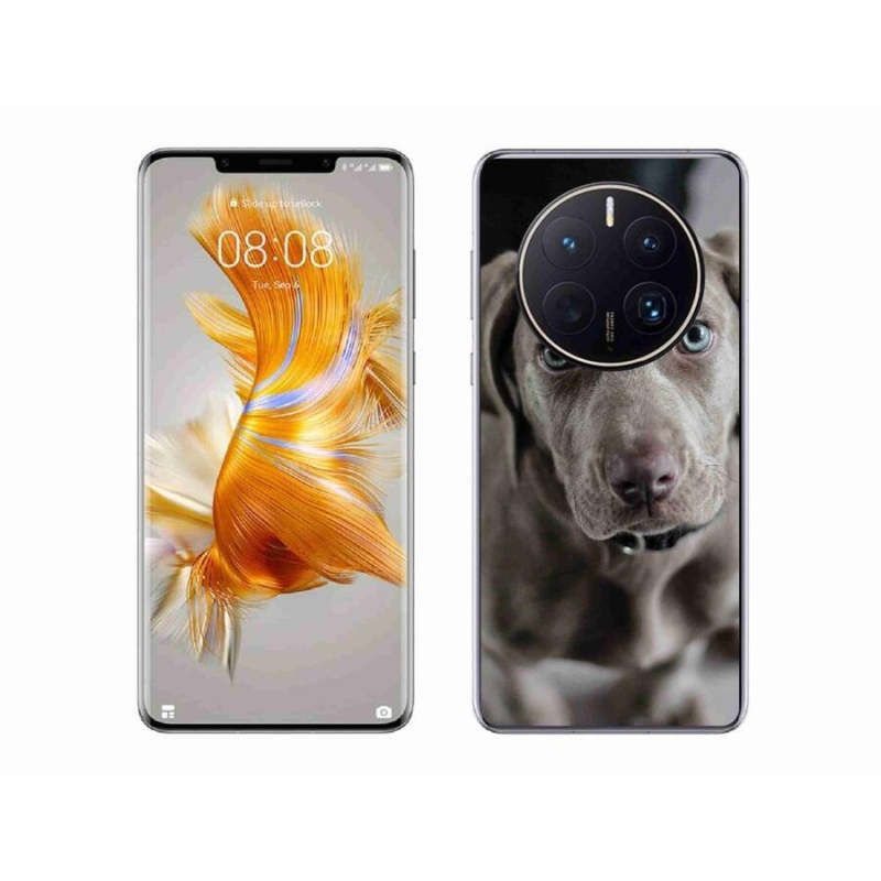 Gélový obal mmCase na mobil Huawei Mate 50 Pro - weimarský stavač