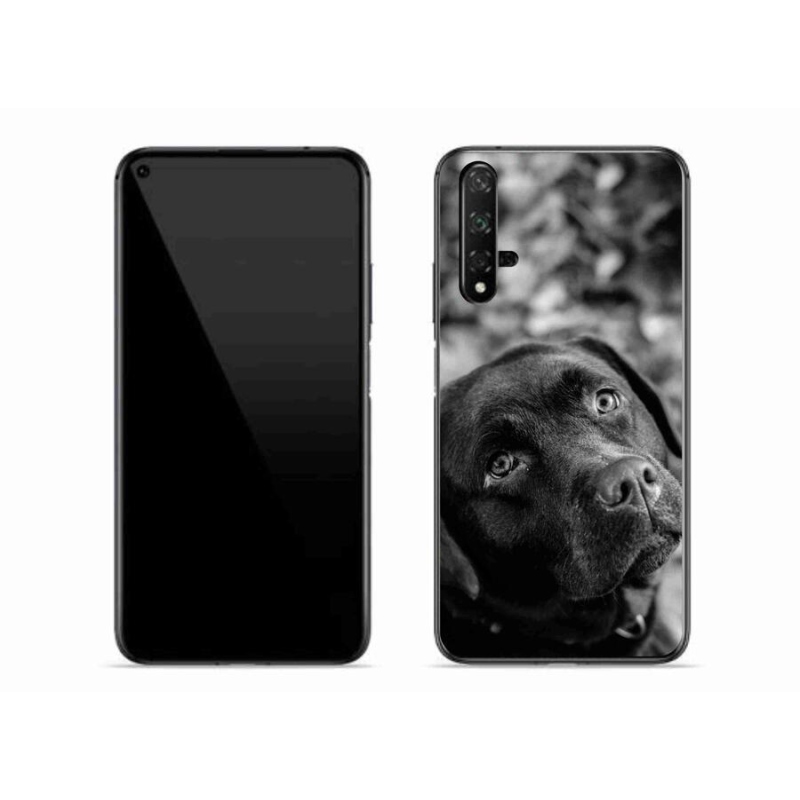 Gélový obal mmCase na mobil Huawei Nova 5T - labrador