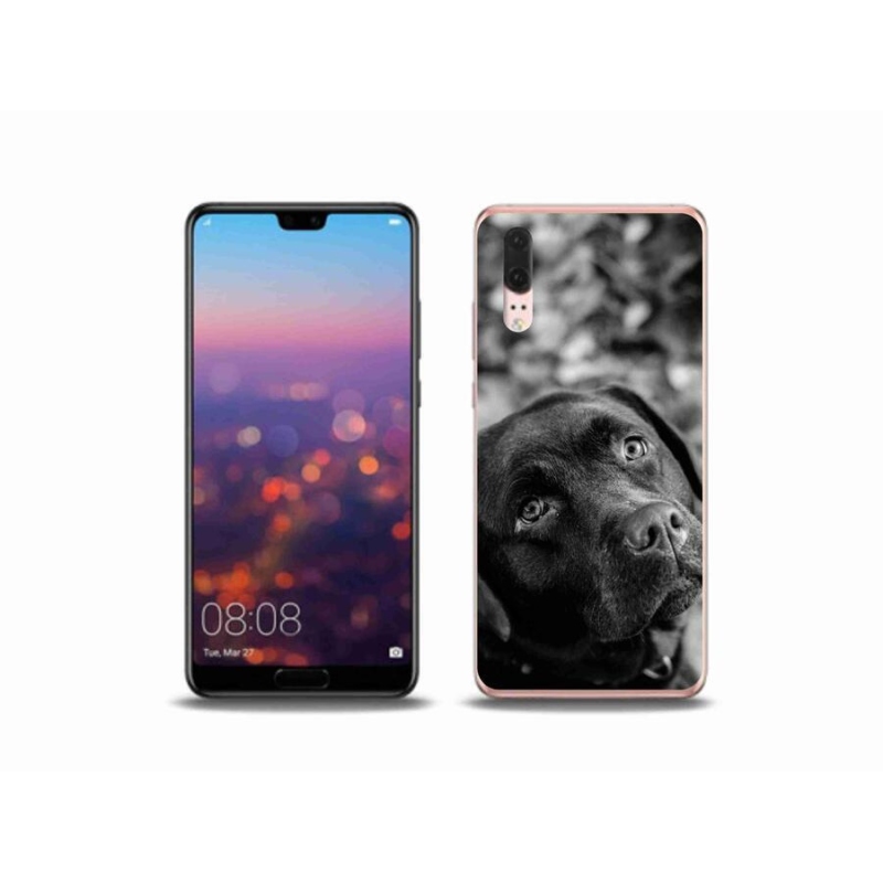 Gélový obal mmCase na mobil Huawei P20 - labrador