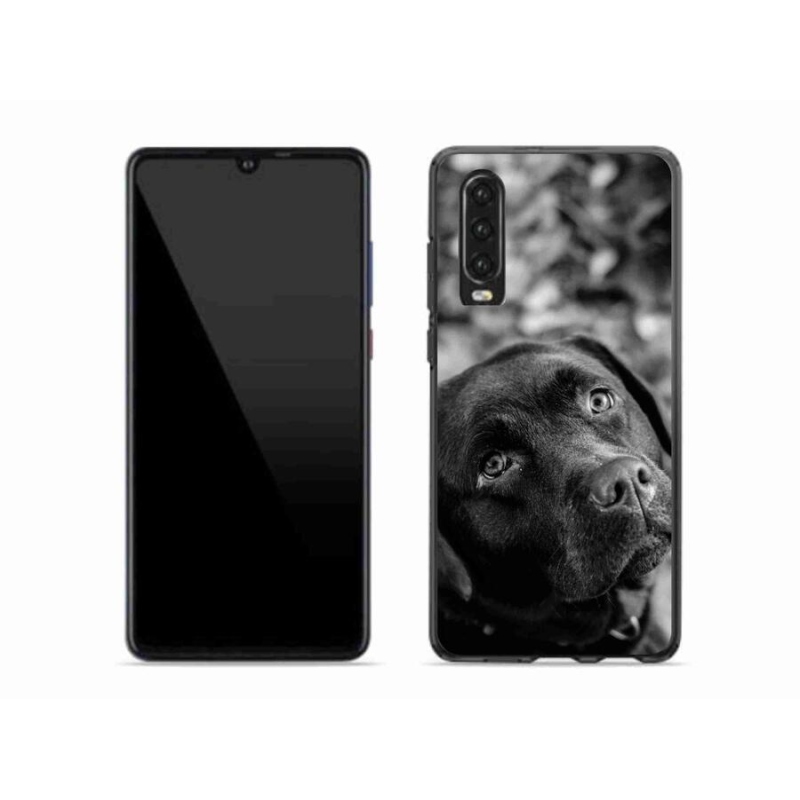 Gélový obal mmCase na mobil Huawei P30 - labrador