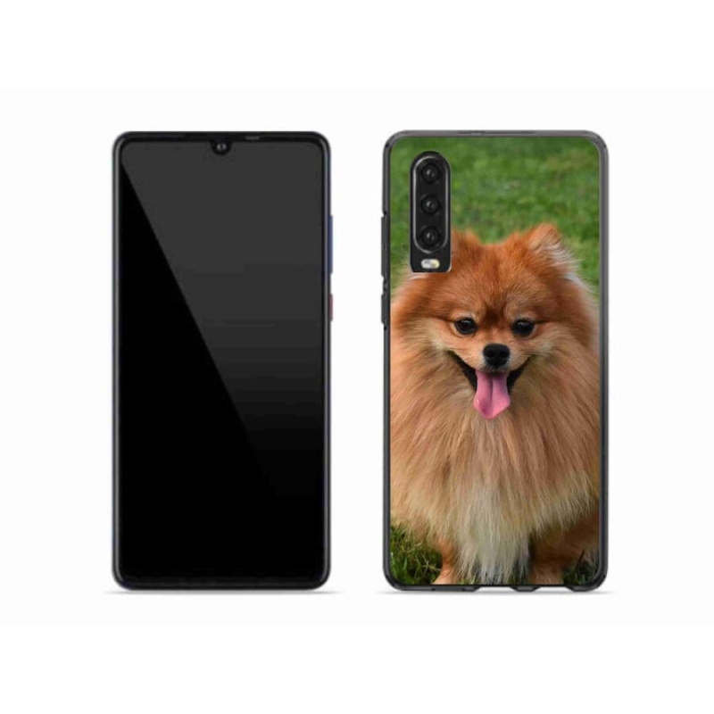 Gélový obal mmCase na mobil Huawei P30 - pomeranian