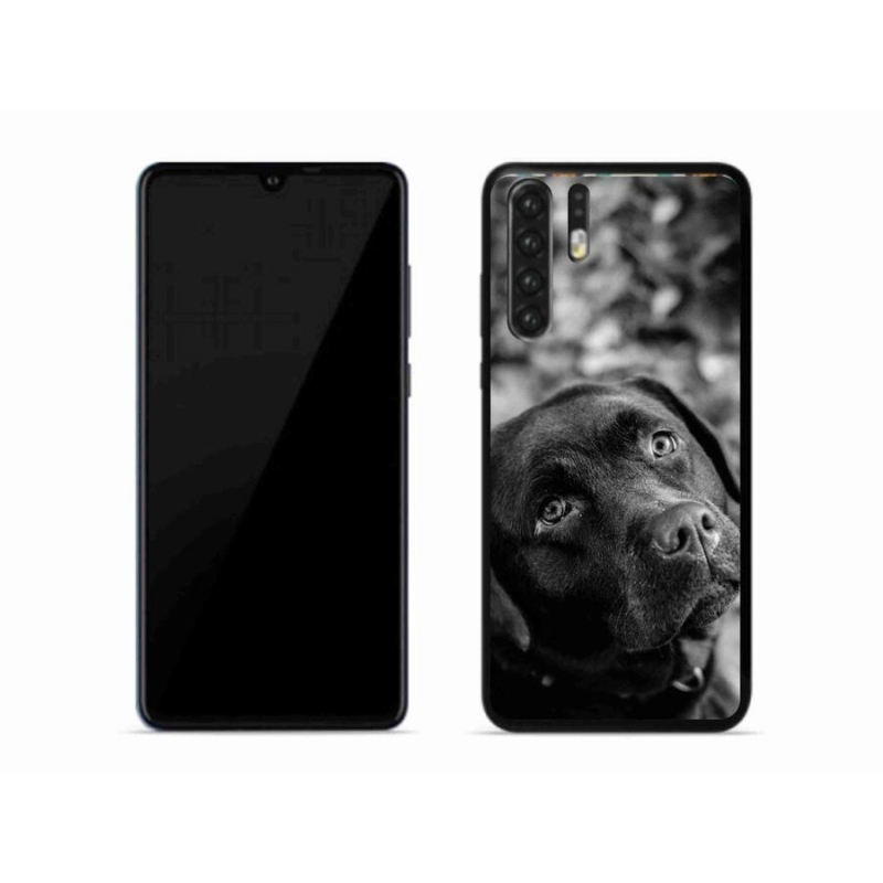 Gélový obal mmCase na mobil Huawei P30 Pro - labrador