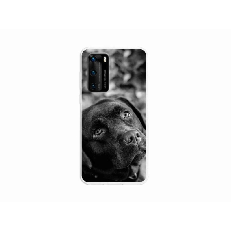 Gélový obal mmCase na mobil Huawei P40 - labrador