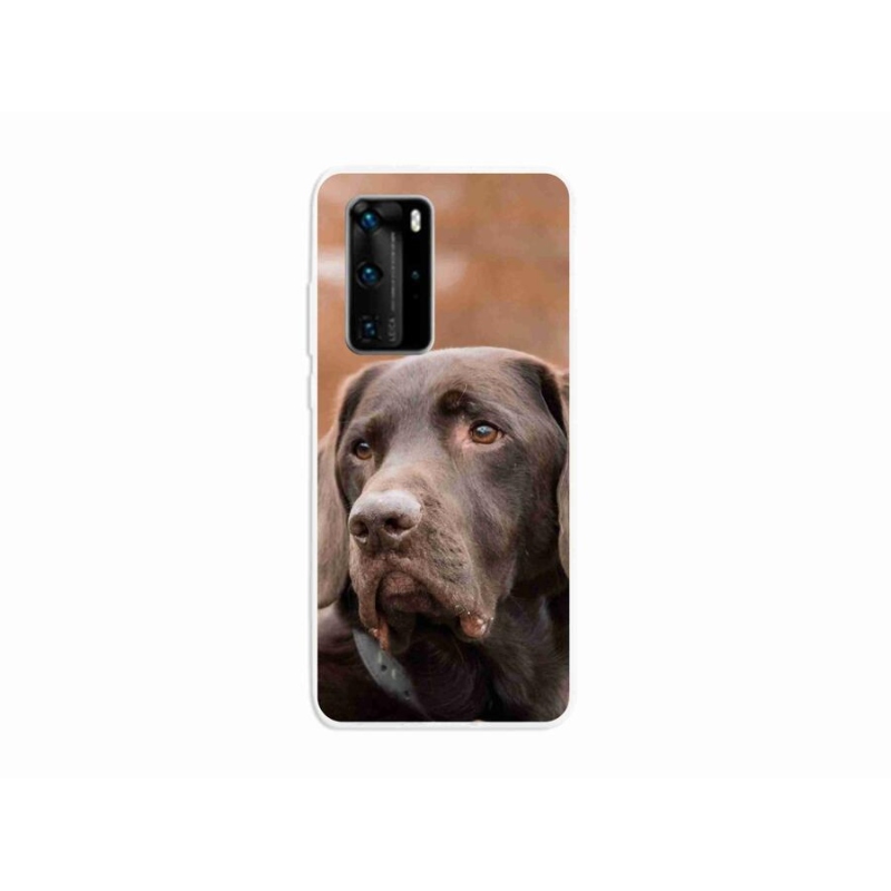 Gélový obal mmCase na mobil Huawei P40 Pro - hnedý labrador