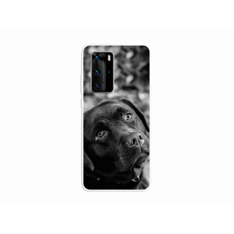 Gélový obal mmCase na mobil Huawei P40 Pro - labrador