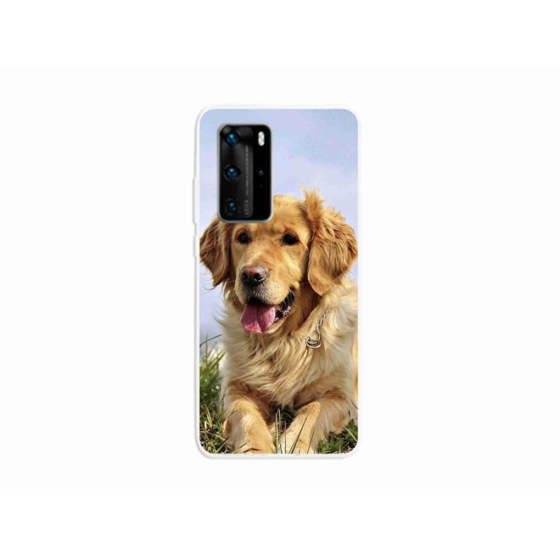 Gélový obal mmCase na mobil Huawei P40 Pro - zlatý retriever