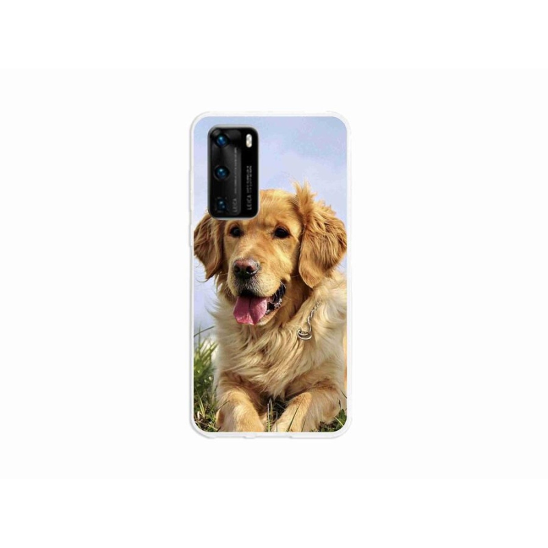 Gélový obal mmCase na mobil Huawei P40 - zlatý retriever