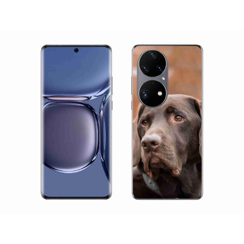 Gélový obal mmCase na mobil Huawei P50 Pro - hnedý labrador