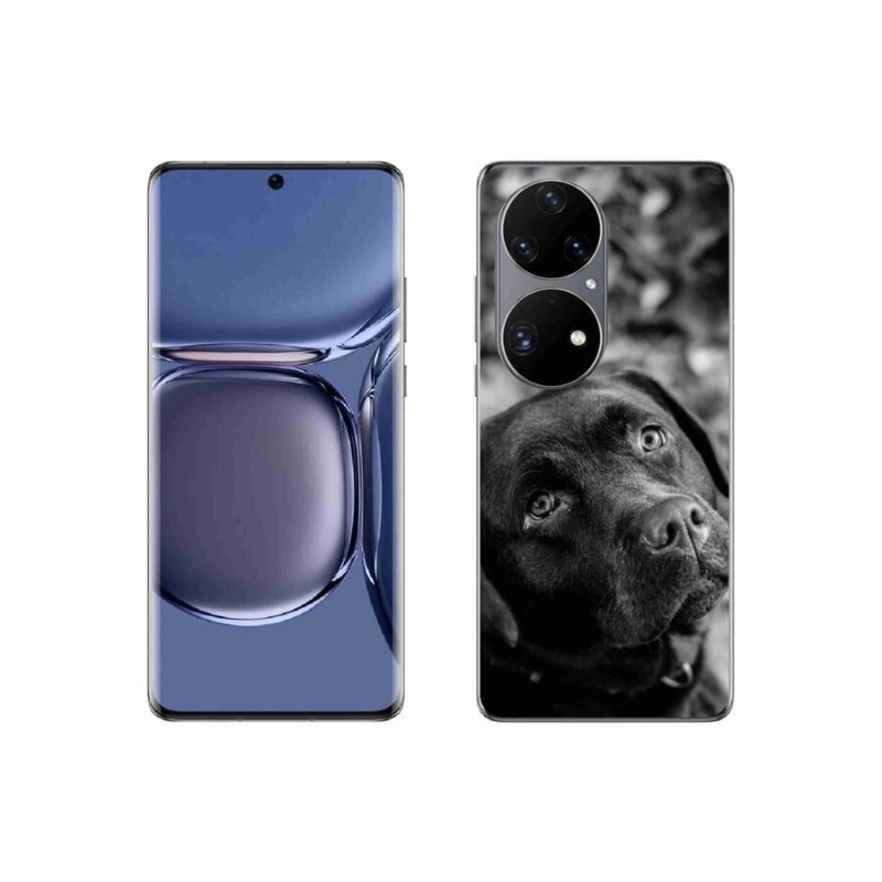 Gélový obal mmCase na mobil Huawei P50 Pro - labrador