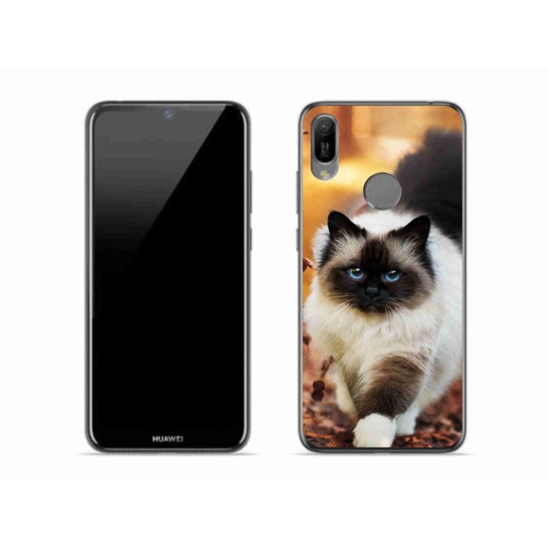 Gélový obal mmCase na mobil Huawei Y6 (2019) - mačka 1