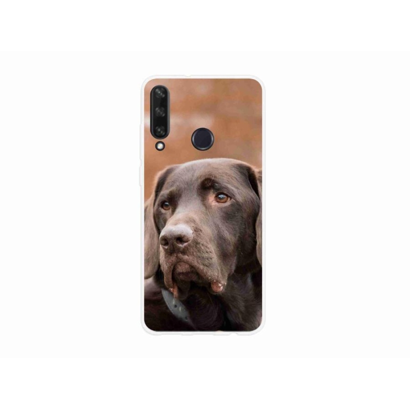 Gélový obal mmCase na mobil Huawei Y6p - hnedý labrador