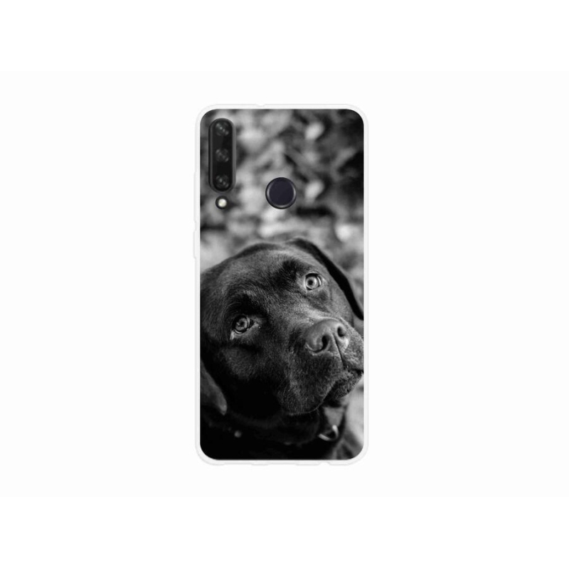 Gélový obal mmCase na mobil Huawei Y6p - labrador