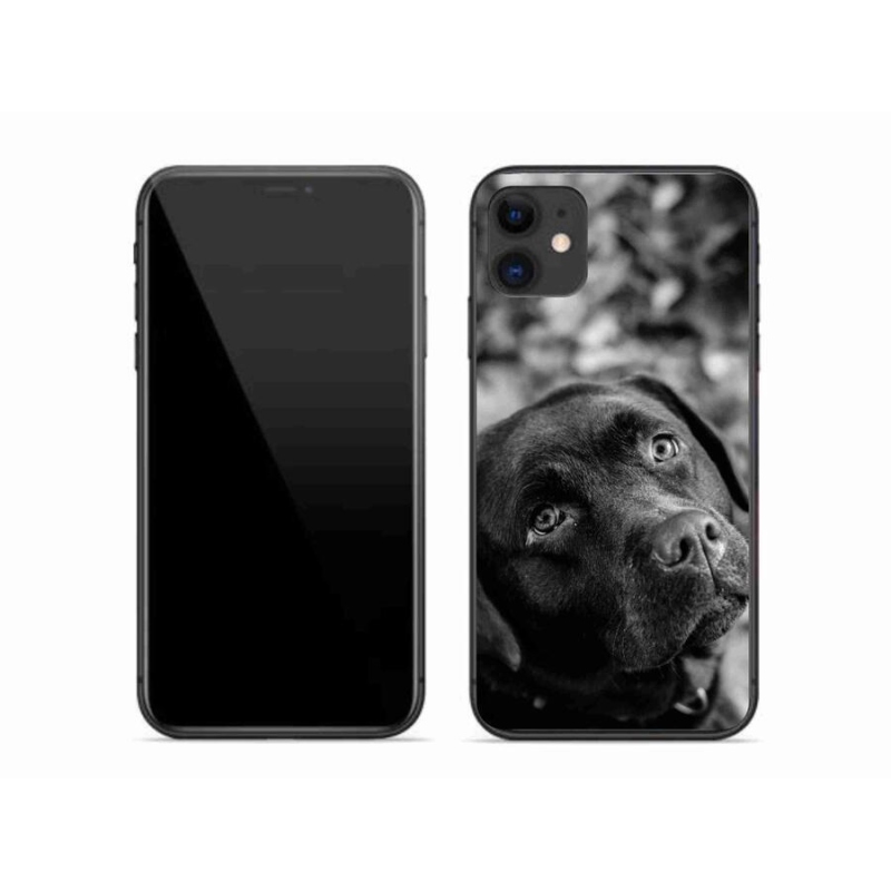 Gélový obal mmCase na mobil iPhone 11 - labrador