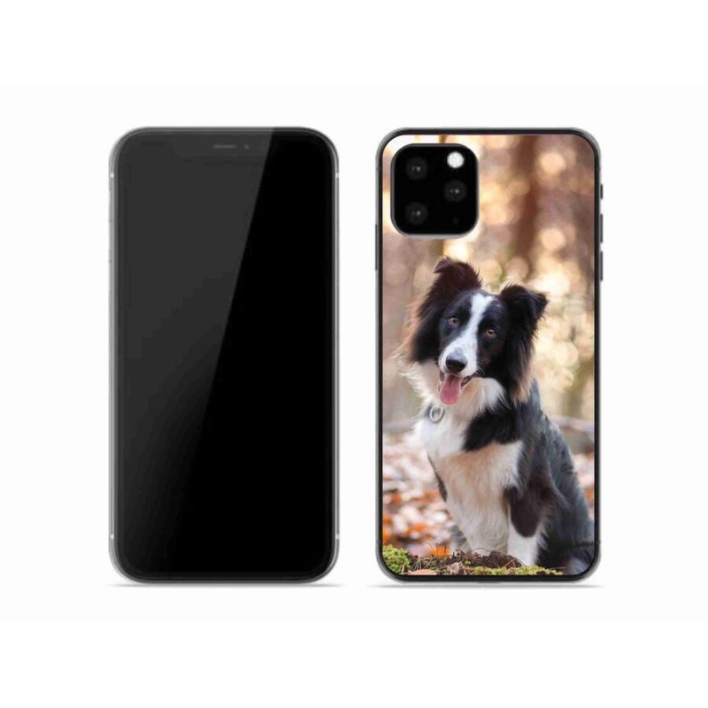 Gélový obal mmCase na mobil iPhone 11 Pro - border kólie 1