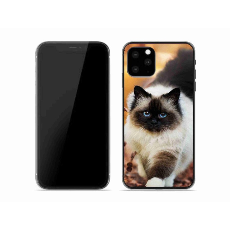 Gélový obal mmCase na mobil iPhone 11 Pro - mačka 1