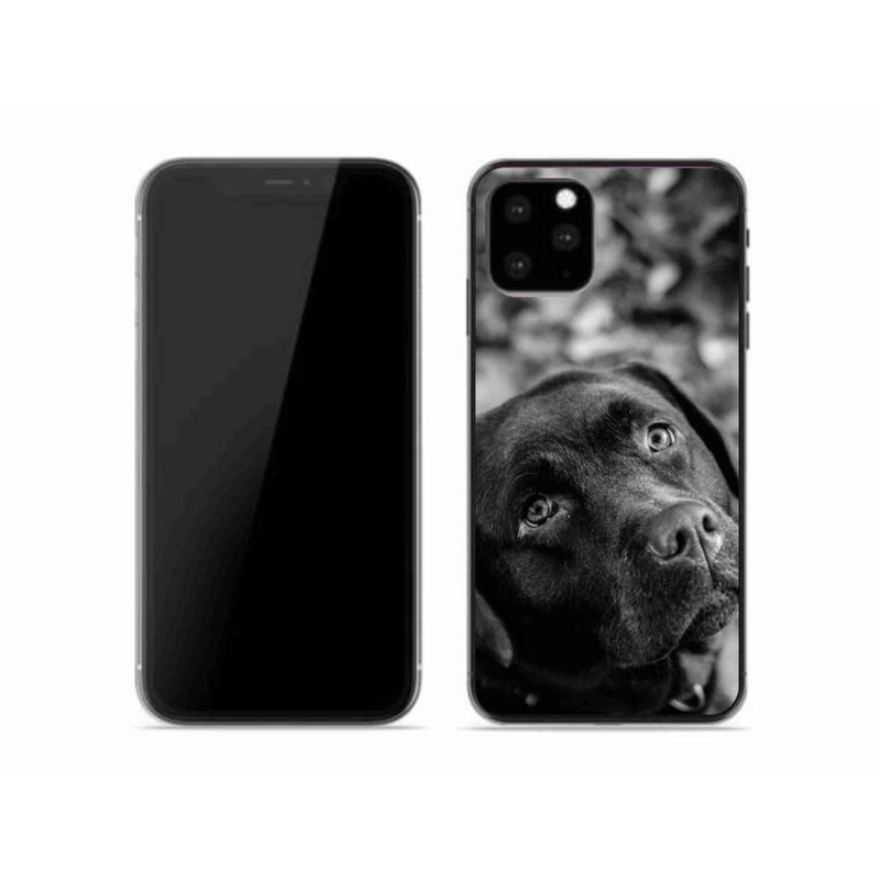 Gélový obal mmCase na mobil iPhone 11 Pro - labrador