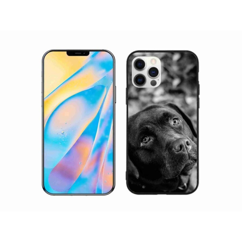 Gélový obal mmCase na mobil iPhone 12 - labrador