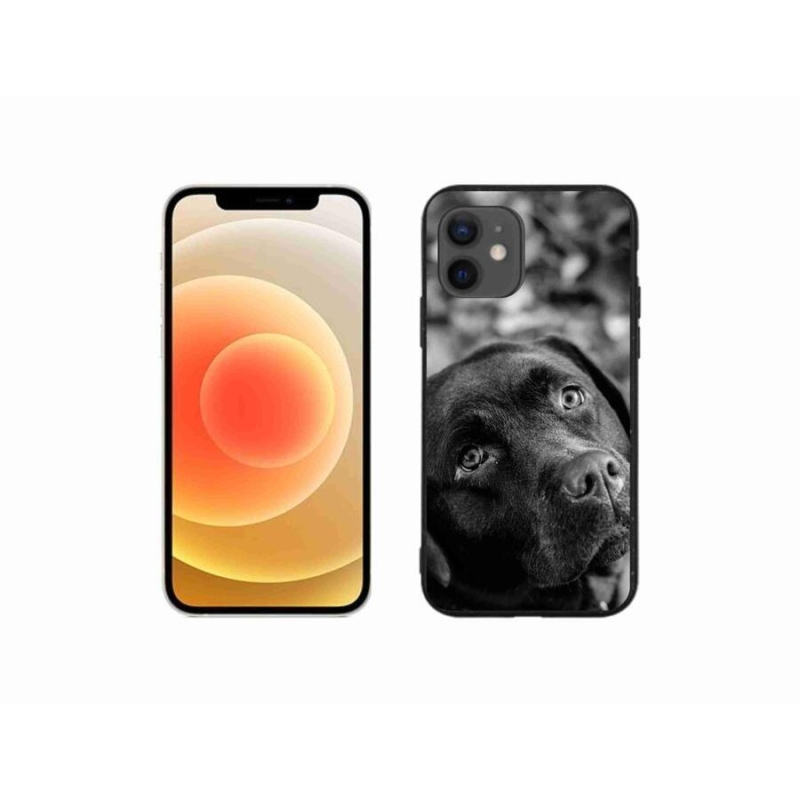 Gélový obal mmCase na mobil iPhone 12 mini - labrador