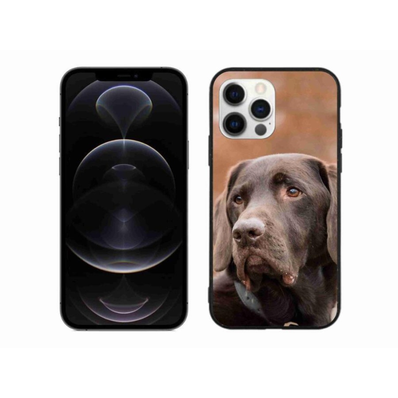 Gélový obal mmCase na mobil iPhone 12 Pro Max - hnedý labrador