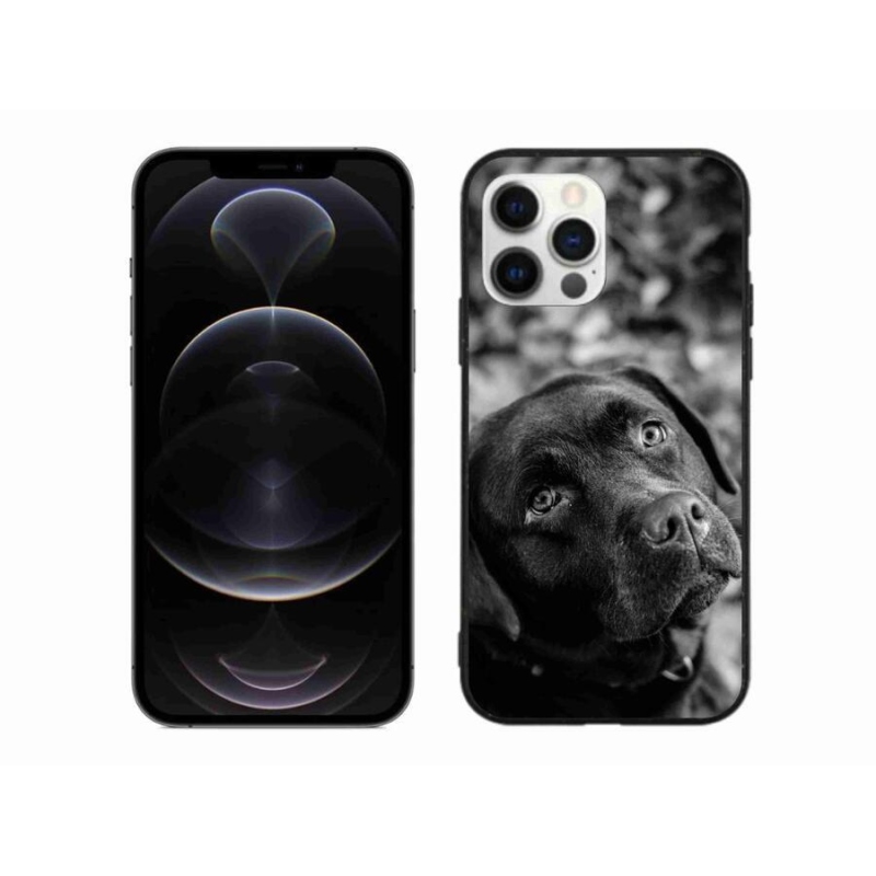 Gélový obal mmCase na mobil iPhone 12 Pro Max - labrador